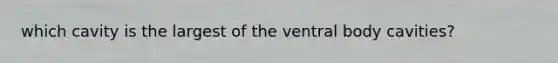 which cavity is the largest of the ventral body cavities?