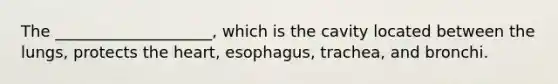 The ____________________, which is the cavity located between the lungs, protects the heart, esophagus, trachea, and bronchi.​