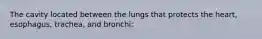 The cavity located between the lungs that protects the heart, esophagus, trachea, and bronchi: