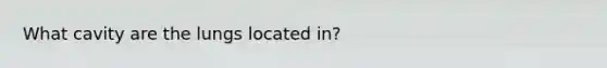 What cavity are the lungs located in?