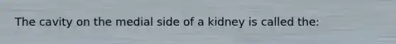 The cavity on the medial side of a kidney is called the: