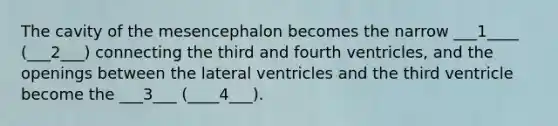 The cavity of the mesencephalon becomes the narrow ___1____ (___2___) connecting the third and fourth ventricles, and the openings between the lateral ventricles and the third ventricle become the ___3___ (____4___).