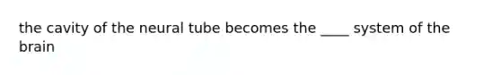 the cavity of the neural tube becomes the ____ system of the brain