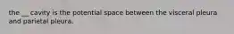 the __ cavity is the potential space between the visceral pleura and parietal pleura.