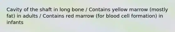 Cavity of the shaft in long bone / Contains yellow marrow (mostly fat) in adults / Contains red marrow (for blood cell formation) in infants