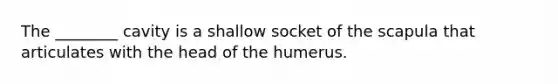 The ________ cavity is a shallow socket of the scapula that articulates with the head of the humerus.