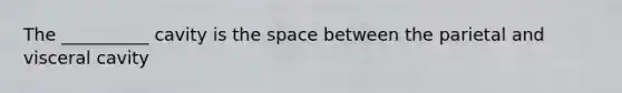 The __________ cavity is the space between the parietal and visceral cavity