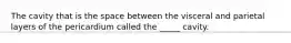 The cavity that is the space between the visceral and parietal layers of the pericardium called the _____ cavity.