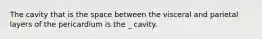 The cavity that is the space between the visceral and parietal layers of the pericardium is the _ cavity.