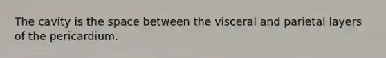 The cavity is <a href='https://www.questionai.com/knowledge/k0Lyloclid-the-space' class='anchor-knowledge'>the space</a> between the visceral and parietal layers of the pericardium.