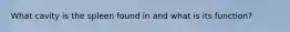 What cavity is the spleen found in and what is its function?