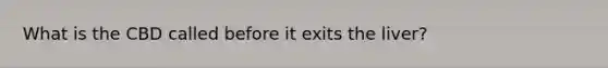 What is the CBD called before it exits the liver?