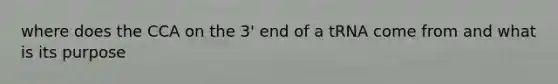 where does the CCA on the 3' end of a tRNA come from and what is its purpose