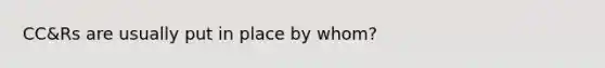 CC&Rs are usually put in place by whom?