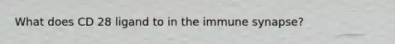 What does CD 28 ligand to in the immune synapse?