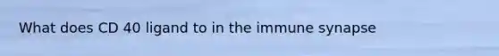 What does CD 40 ligand to in the immune synapse