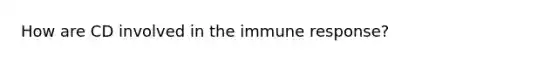 How are CD involved in the immune response?