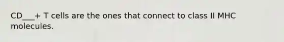 CD___+ T cells are the ones that connect to class II MHC molecules.
