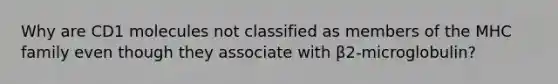 Why are CD1 molecules not classified as members of the MHC family even though they associate with β2-microglobulin?