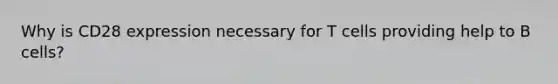 Why is CD28 expression necessary for T cells providing help to B cells?