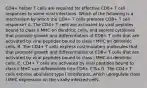 CD4+ helper T cells are required for effective CD8+ T cell responses to some viral infections. Which of the following is a mechanism by which the CD4+ T cells promote CD8+ T cell response? A. The CD4+ T cells are activated by viral peptides bound to class II MHC on dendritic cells, and secrete cytokines that promote growth and differentiation of CD8+ T cells that are activated by viral peptides bound to class I MHC on dendritic cells. B. The CD4+ T cells express costimulatory molecules that that promote growth and differentiation of CD8+ T cells that are activated by viral peptides bound to class I MHC on dendritic cells. C. CD4+ T cells are activated by viral peptides bound to class II MHC can differentiate into CD8+ CTLs D. The CD4+ T cells express abundant type I interferons, which upregulate class I MHC expression on the virally infected cells.