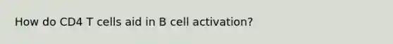 How do CD4 T cells aid in B cell activation?