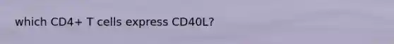 which CD4+ T cells express CD40L?