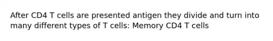 After CD4 T cells are presented antigen they divide and turn into many different types of T cells: Memory CD4 T cells