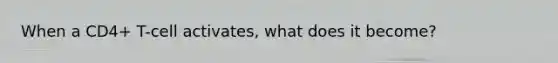 When a CD4+ T-cell activates, what does it become?