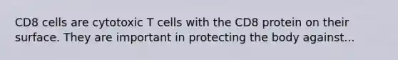 CD8 cells are cytotoxic T cells with the CD8 protein on their surface. They are important in protecting the body against...