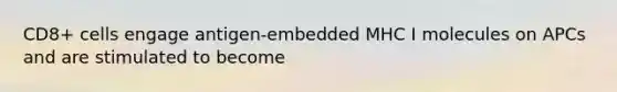 CD8+ cells engage antigen-embedded MHC I molecules on APCs and are stimulated to become