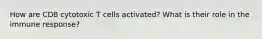 How are CD8 cytotoxic T cells activated? What is their role in the immune response?