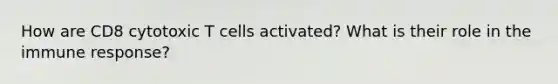 How are CD8 cytotoxic T cells activated? What is their role in the immune response?