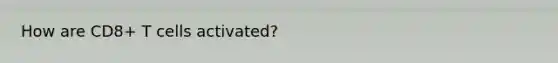 How are CD8+ T cells activated?