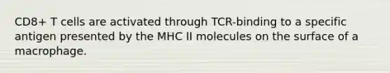 CD8+ T cells are activated through TCR-binding to a specific antigen presented by the MHC II molecules on the surface of a macrophage.