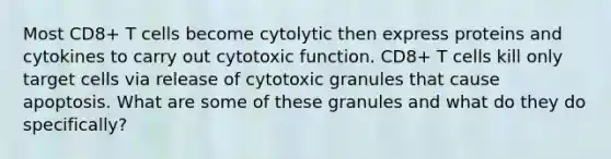 Most CD8+ T cells become cytolytic then express proteins and cytokines to carry out cytotoxic function. CD8+ T cells kill only target cells via release of cytotoxic granules that cause apoptosis. What are some of these granules and what do they do specifically?