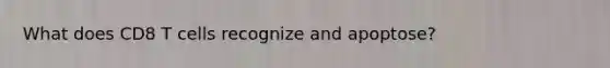 What does CD8 T cells recognize and apoptose?