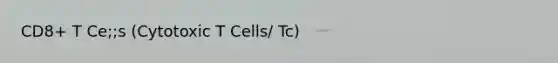 CD8+ T Ce;;s (Cytotoxic T Cells/ Tc)