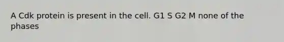 A Cdk protein is present in the cell. G1 S G2 M none of the phases