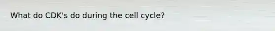 What do CDK's do during the cell cycle?