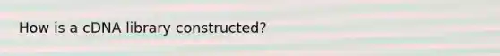 How is a cDNA library constructed?