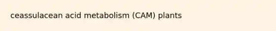 ceassulacean acid metabolism (CAM) plants