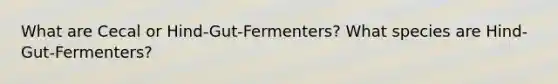 What are Cecal or Hind-Gut-Fermenters? What species are Hind-Gut-Fermenters?