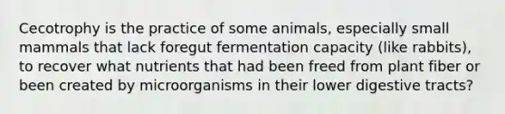 Cecotrophy is the practice of some animals, especially small mammals that lack foregut fermentation capacity (like rabbits), to recover what nutrients that had been freed from plant fiber or been created by microorganisms in their lower digestive tracts?