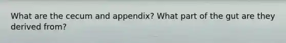 What are the cecum and appendix? What part of the gut are they derived from?