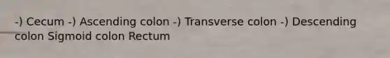 -) Cecum -) Ascending colon -) Transverse colon -) Descending colon Sigmoid colon Rectum