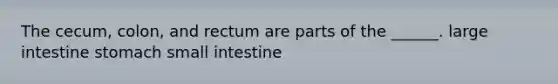 The cecum, colon, and rectum are parts of the ______. <a href='https://www.questionai.com/knowledge/kGQjby07OK-large-intestine' class='anchor-knowledge'>large intestine</a> stomach small intestine