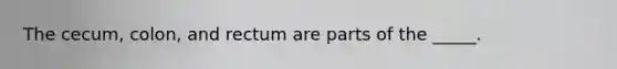 The cecum, colon, and rectum are parts of the _____.