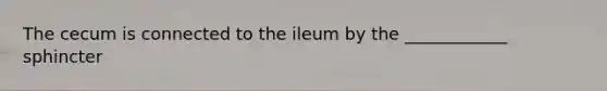 The cecum is connected to the ileum by the ____________ sphincter