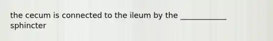 the cecum is connected to the ileum by the ____________ sphincter